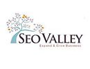 SEOValley Solutions Private Limited