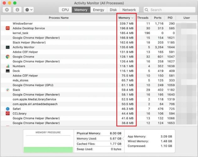 Memory Tab from Activity Monitor on MAC