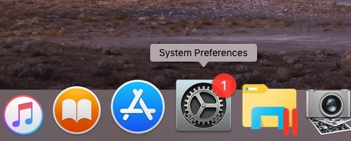 Choose System Preference from Apple Dock