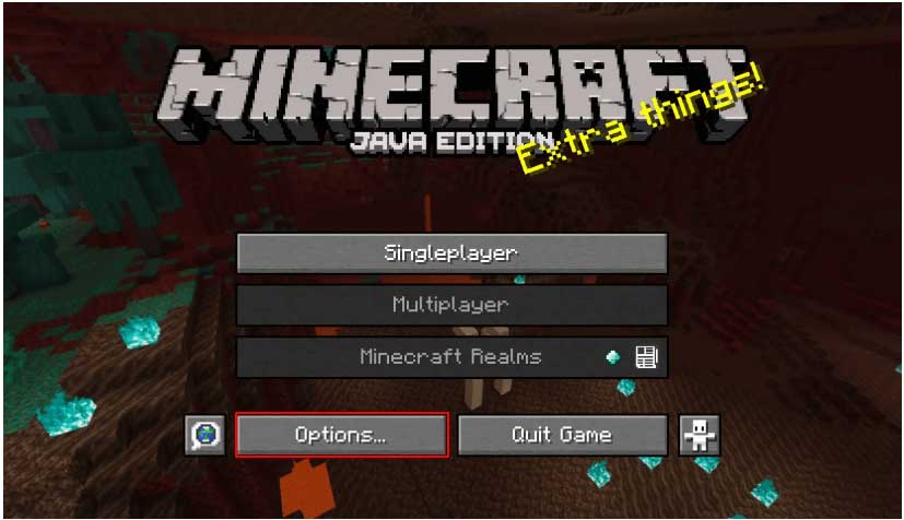 Open Minecraft and Click on Options