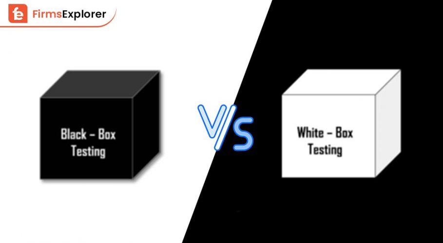 Difference Between White Box and Black Box Testing