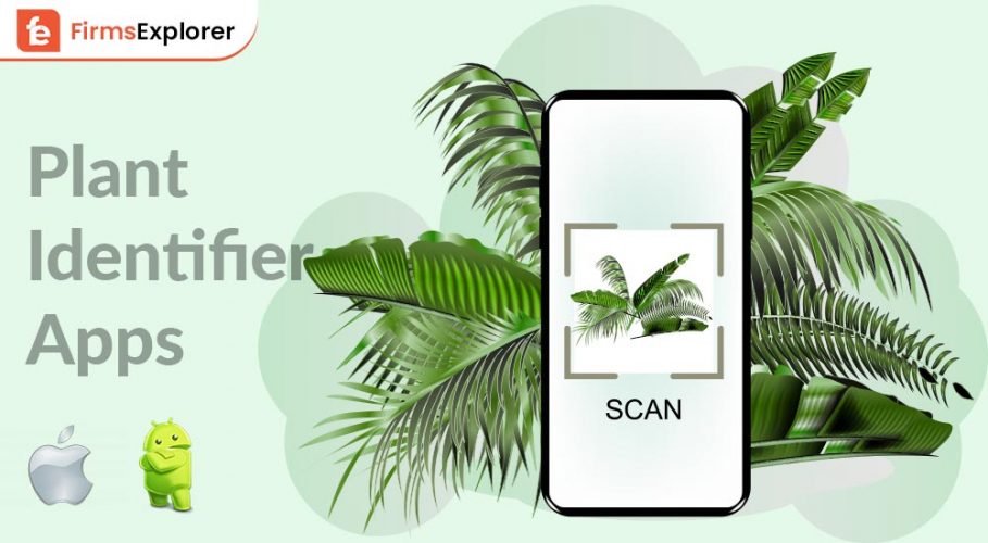 Best-Plant-Identifier-Apps-of-2022-(Android-&-iPhone)